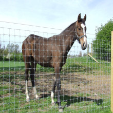 High Quality HOT Dip-Galvanized iron wire Cattle Fence on Farm